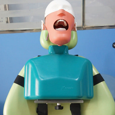 Dental Simulator Manikin Phantom Teeth Tooth Model Training - eLynn Medical